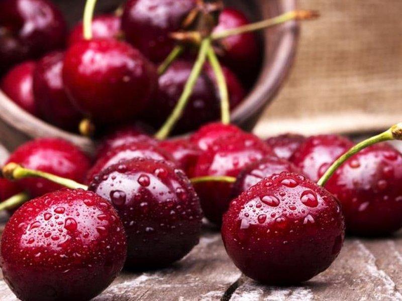 Вишня купить саженцы из питомника в Выборге